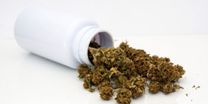 Cannabis as herbal medicine. Rules and Regulations | Fundación CANNA ...