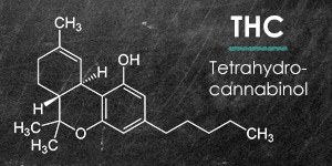 Tetrahydrocannabinol (THC) | Fundación CANNA: Scientific Studies And ...