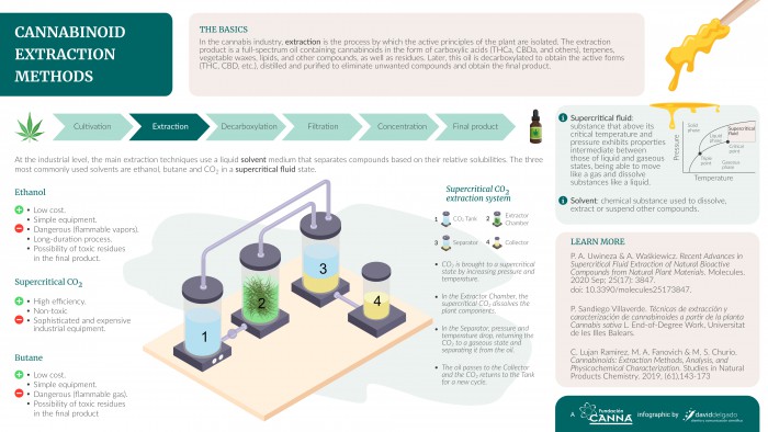 Cannabinoid Extraction Methods | Fundación CANNA: Scientific Studies ...