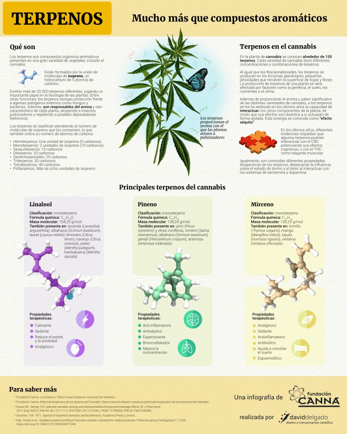 Terpenos: Mucho Más Que Compuestos Aromáticos | Fundación CANNA ...